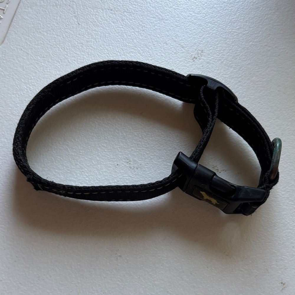 Durable Black Dog Collar